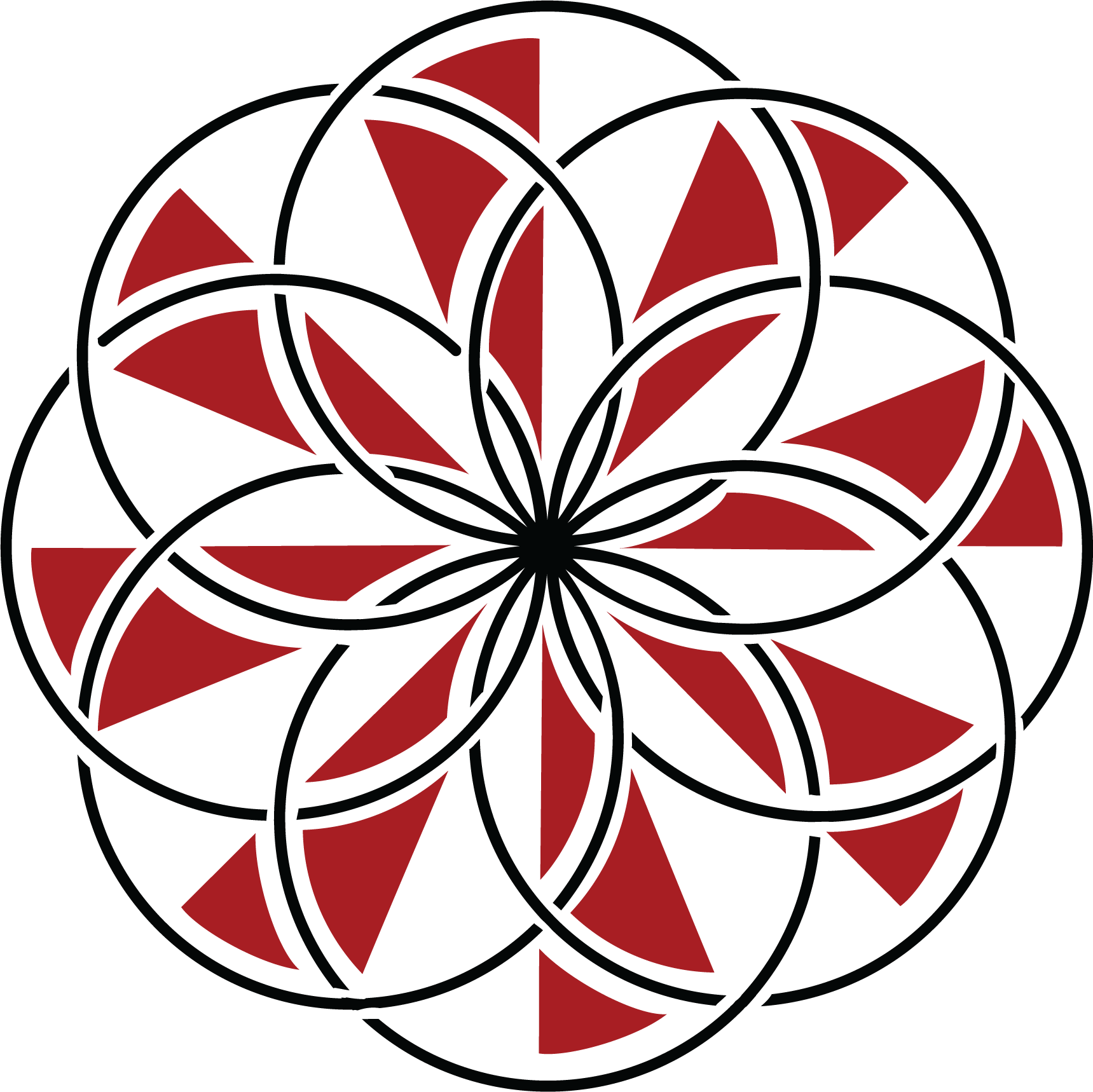 Circulation Festival